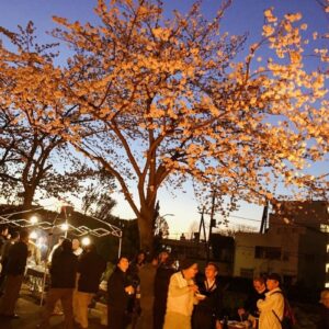 懇親会・お花見を楽しみました。