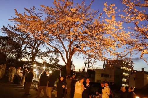 懇親会・お花見を楽しみました。