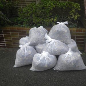 会社および西横浜駅周辺清掃活動(2018年10月)