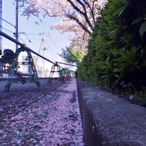 会社および西横浜駅周辺清掃活動(2019年4月)