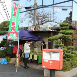 新鮮野菜販売会を開催しました。