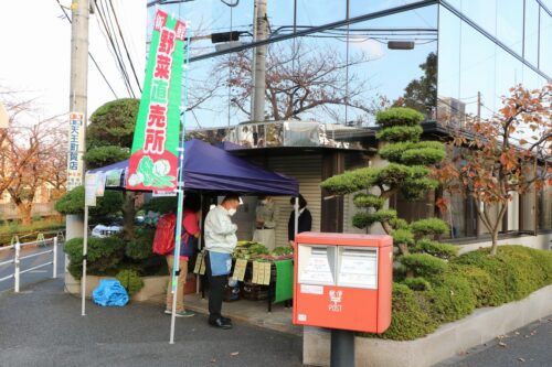 新鮮野菜販売会を開催しました。