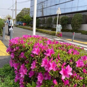 会社および西横浜駅周辺清掃活動(2022年4月)