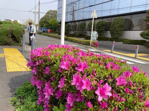 会社および西横浜駅周辺清掃活動(2022年4月)