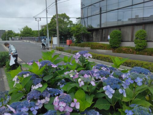 会社および西横浜駅周辺清掃活動(2022年6月)