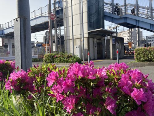 会社および西横浜駅周辺清掃活動(2023年4月)