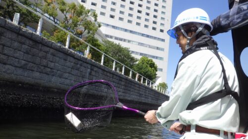 昨年に引き続き横浜港海洋清掃活動を実施。